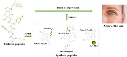 The Next Evolution of Wellness: Peptides